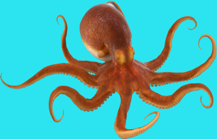 Demokrasi v5.0 : Akrabalarla Yönetim Sistemi