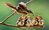 Rızkımız Teminat Altında Değil mi?