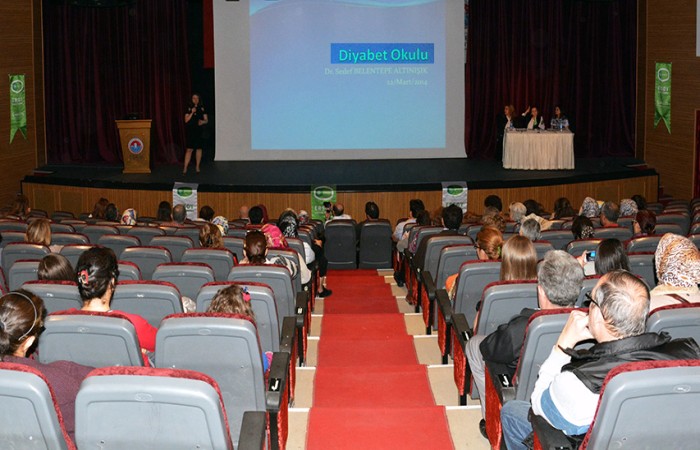 Gezici Diyabet Okulu Projesi