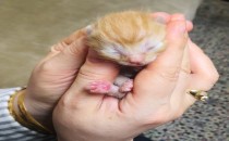 Erkeklerin Namus ve Şerefleri Kadınlara Emanettir!