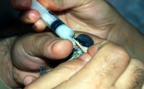 Çocuklarımızı Kim Büyütüyor?