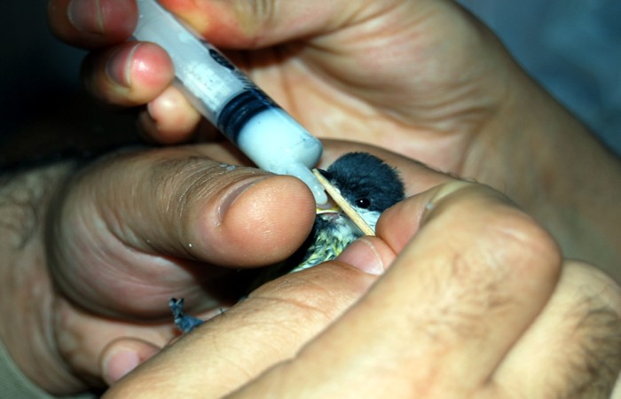 Çocuklarımızı Kim Büyütüyor?