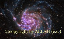 İnsanların Telif Hakkı Var da, Allah’ın Yok mu?