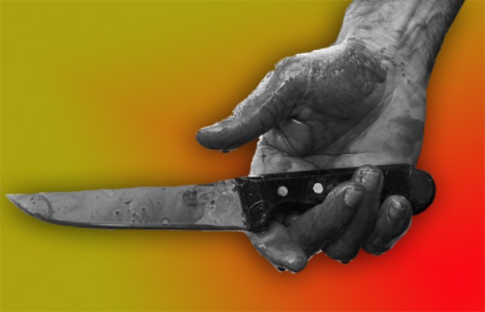 Bir Cinayetin Anatomisi, Algı ve Olgu Gerçeği