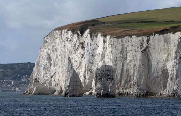 Hanımefendiler, Asıl Düşmanınız Feministlerdir!