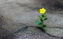 Ümitvar Olalım, Güzel Gelişmeler de Var!