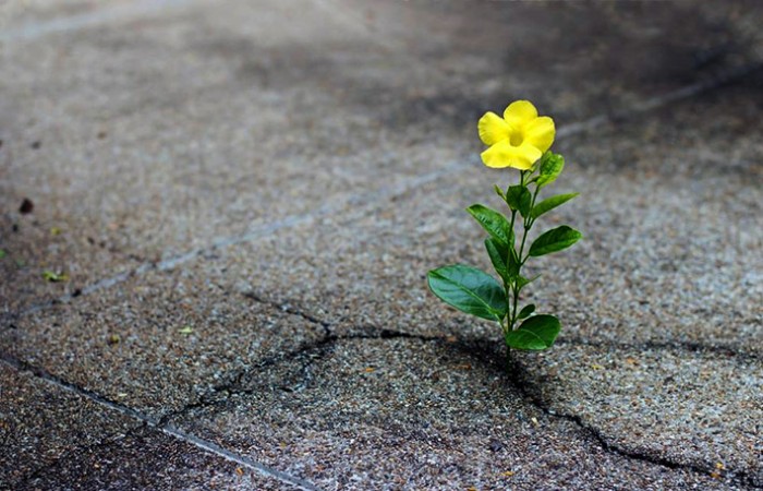 Ümitvar Olalım, Güzel Gelişmeler de Var!