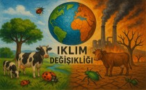 İklim Fitnesi Sona Ermedi, Hemen Gevşemeyelim!